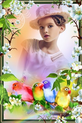 Детская рамка для фотошопа - Красивые попугайчики